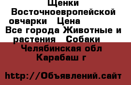 Щенки Восточноевропейской овчарки › Цена ­ 25 000 - Все города Животные и растения » Собаки   . Челябинская обл.,Карабаш г.